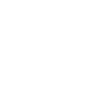 菠萝量化
